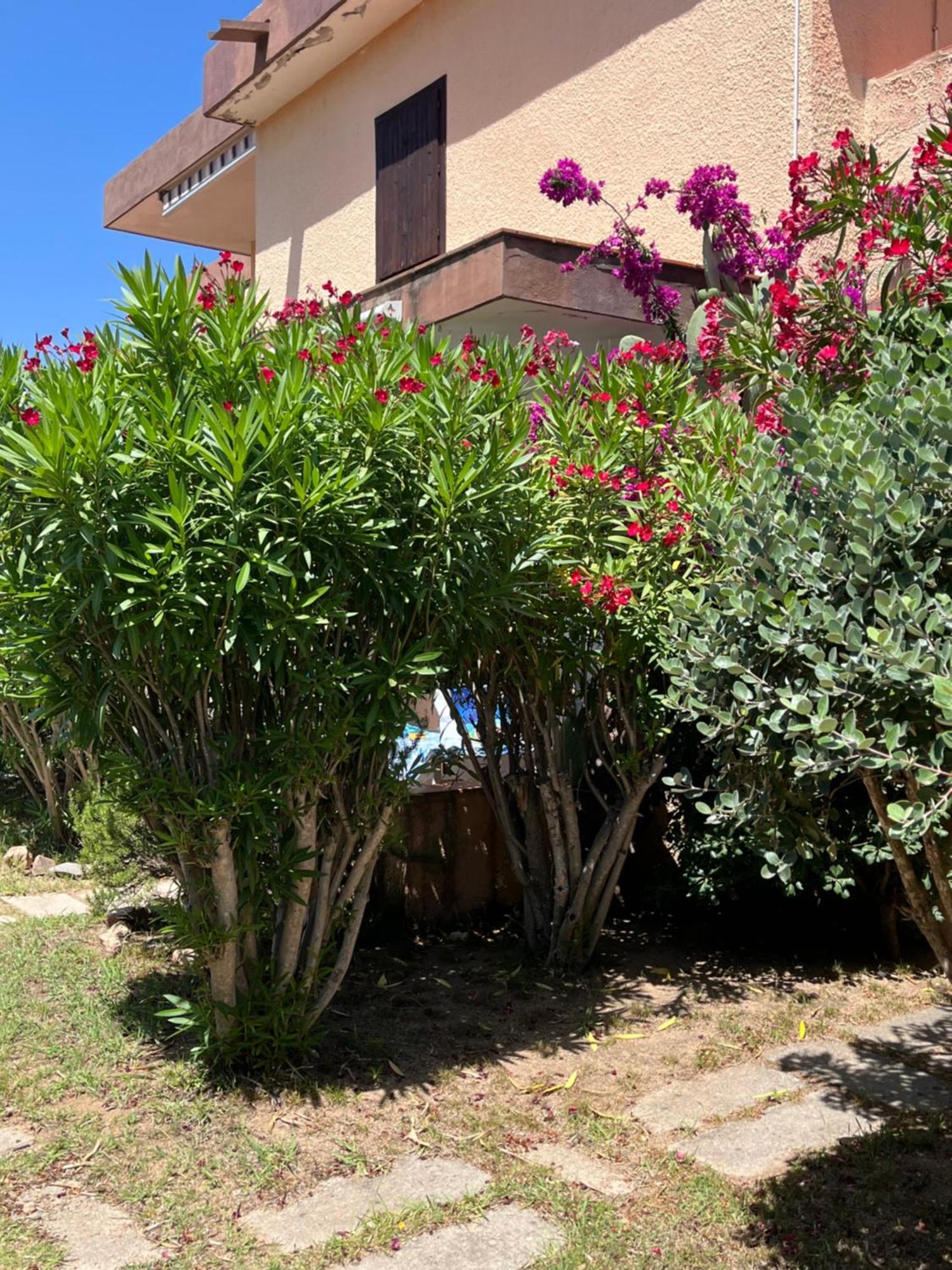 Bilocali Residenza Mediterranea Канніджоне Екстер'єр фото